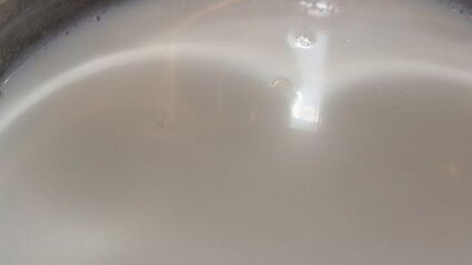 конфеты ручной работы грибочки