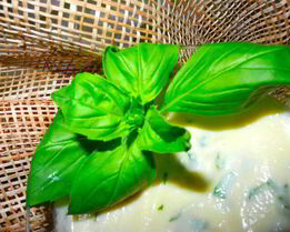 Нежный десертный крем из яблок с базиликом и кардамоном