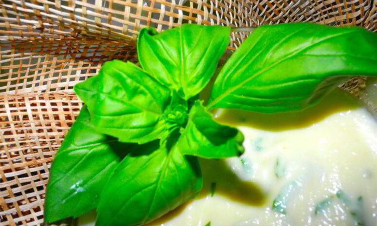 Рецепт нежный десертный крем из яблок с базиликом и кардамоном