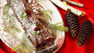 Шоколадное полено с кремом из каштанов и ягодами