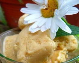 Мороженое из козьего молока