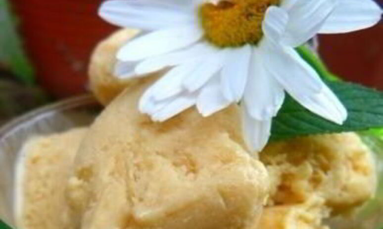 Рецепт мороженое из козьего молока