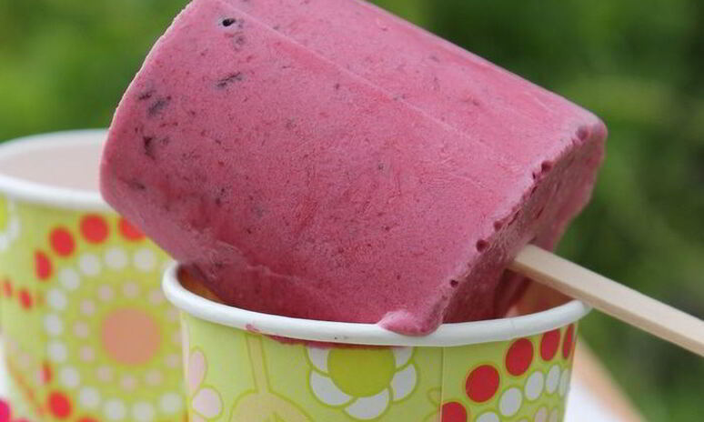 Рецепт мороженое на йогурте со смородиной