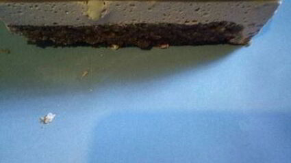 муссовый торт-десерт нежность