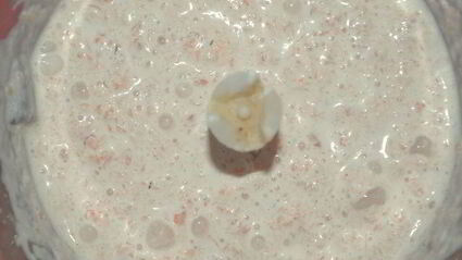 праздничный цукотто из форели с нежнейшим креветочным муссом, огурцом и сливочным кремом