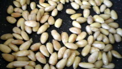 паасброд — нидерландский пасхальный хлеб