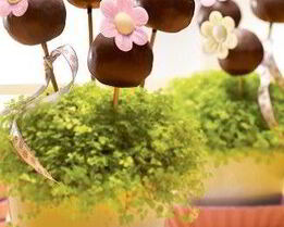 Шоколадный букет