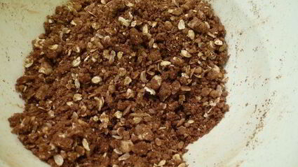 сливовый крамбл