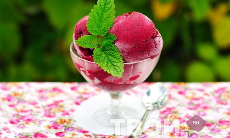 Рецепт сорбет из черной смородины и красного вина