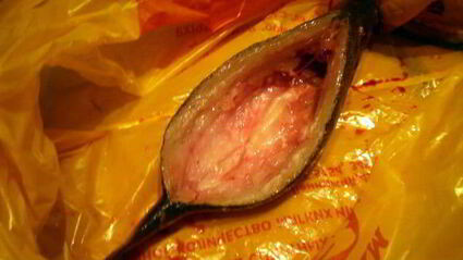 сибас с творожно-сырным суфле и семгой