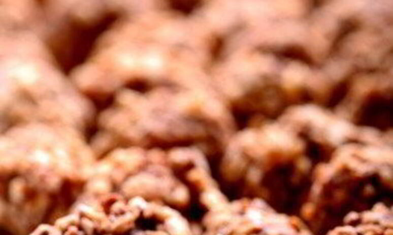 Рецепт трюфели с клюквой в крошке из грецкого ореха