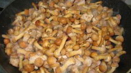 картошка с грибами опятами жареная