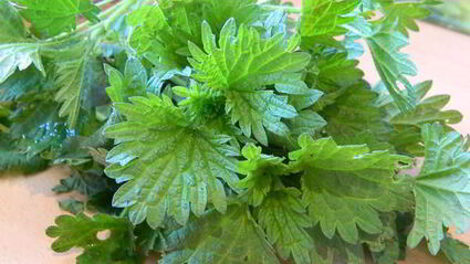 молодой картофель с перцем и творожным сыром