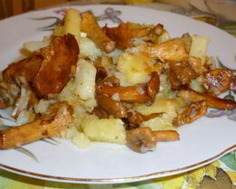 Жареный молодой картофель с лисичками