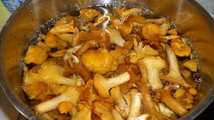 жареный молодой картофель с лисичками