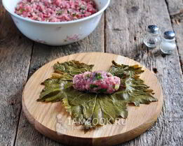 долма из маринованных виноградных листьев