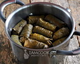 долма из маринованных виноградных листьев