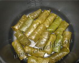 долма из виноградных листьев в мультиварке