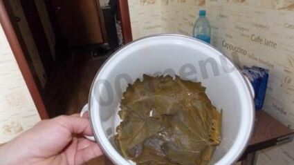 долма с мятой и круглым рисом