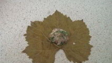 долма узбекская