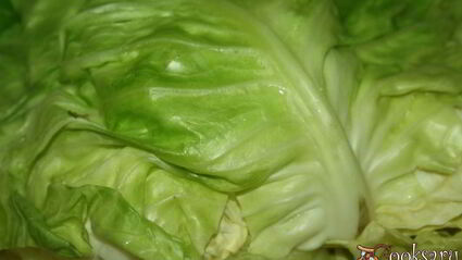 голубцы с индюшатиной, запеченные в сметанном соусе