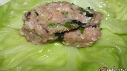 голубцы с индюшатиной, запеченные в сметанном соусе