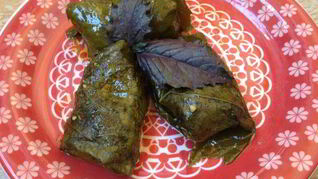 Овощная долма