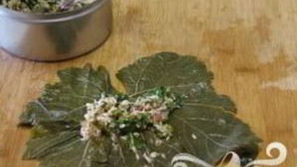 вегетарианская долма