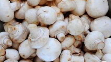 фаршированные шампиньоны праздничные