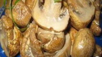 грибы обалденные