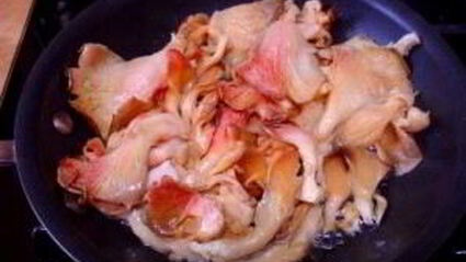 грибы под соусом бешамель