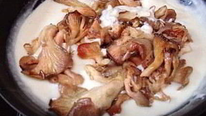 грибы под соусом бешамель