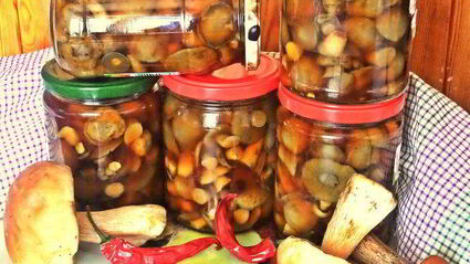 грибы в маринаде