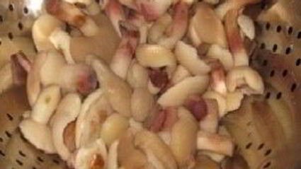 маслята, жареные с луком