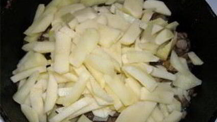 подберезовики, жареные с картофелем