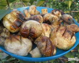 Шампиньоны гриль