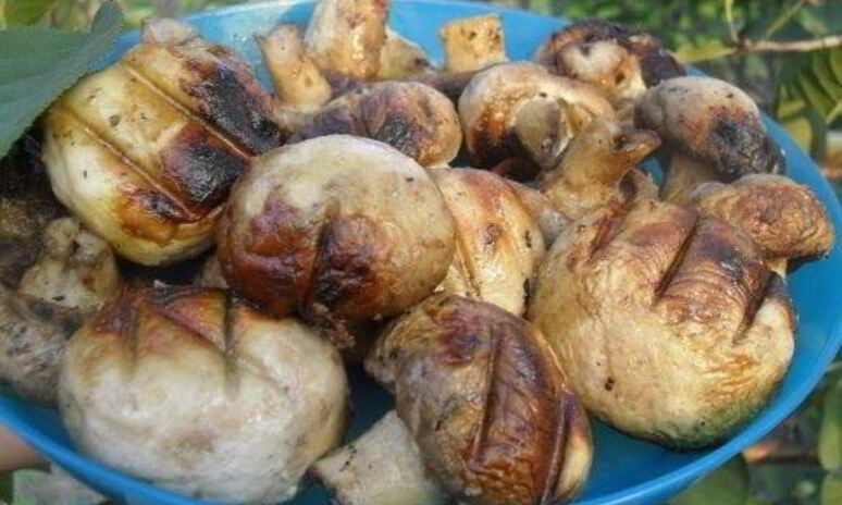 Рецепт шампиньоны гриль