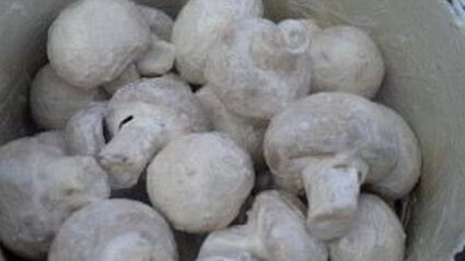 шампиньоны гриль