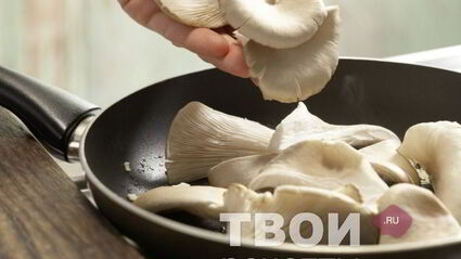 вешенки жареные