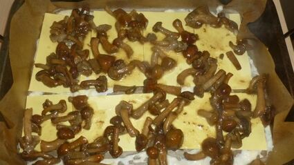 лазанья с опятами