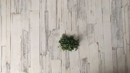 вегетарианская лазанья