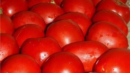 паста с чесноком и сальсой из сушеных томатов