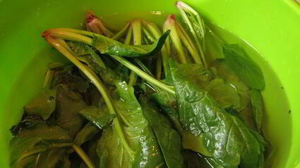 паста с крапивой и шпинатом