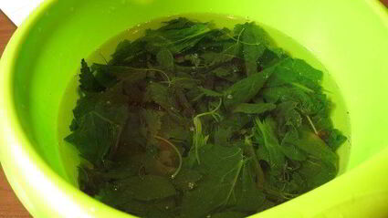 паста с крапивой и шпинатом