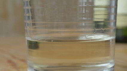 спагетти с грибами в сливочном соусе