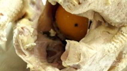 индюк в духовке