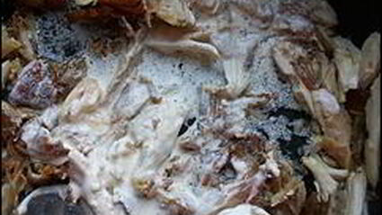 курица в сметане с чесноком и зеленью