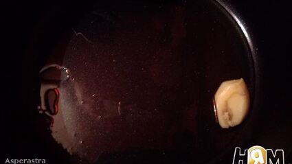 вьетнамский плов посленовогодний