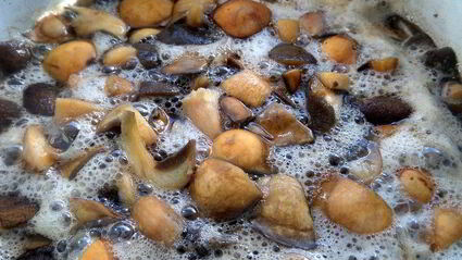 грибное рагу в горшочках