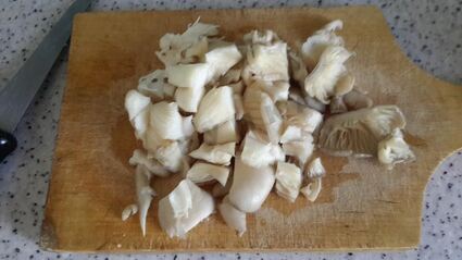 постное овощное рагу из баклажанов с грибами и овощами